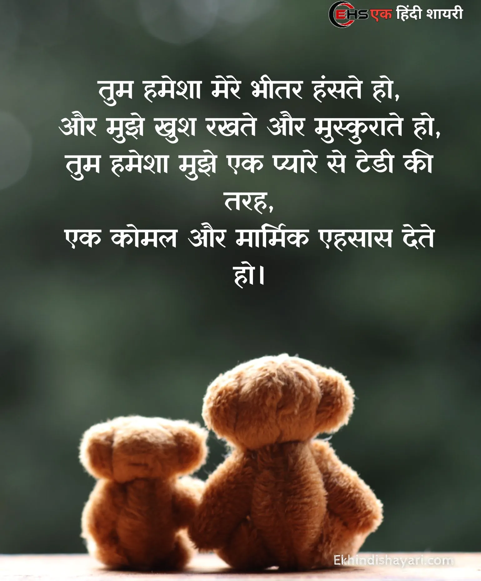 Teddy Bear Day Shayari Photo