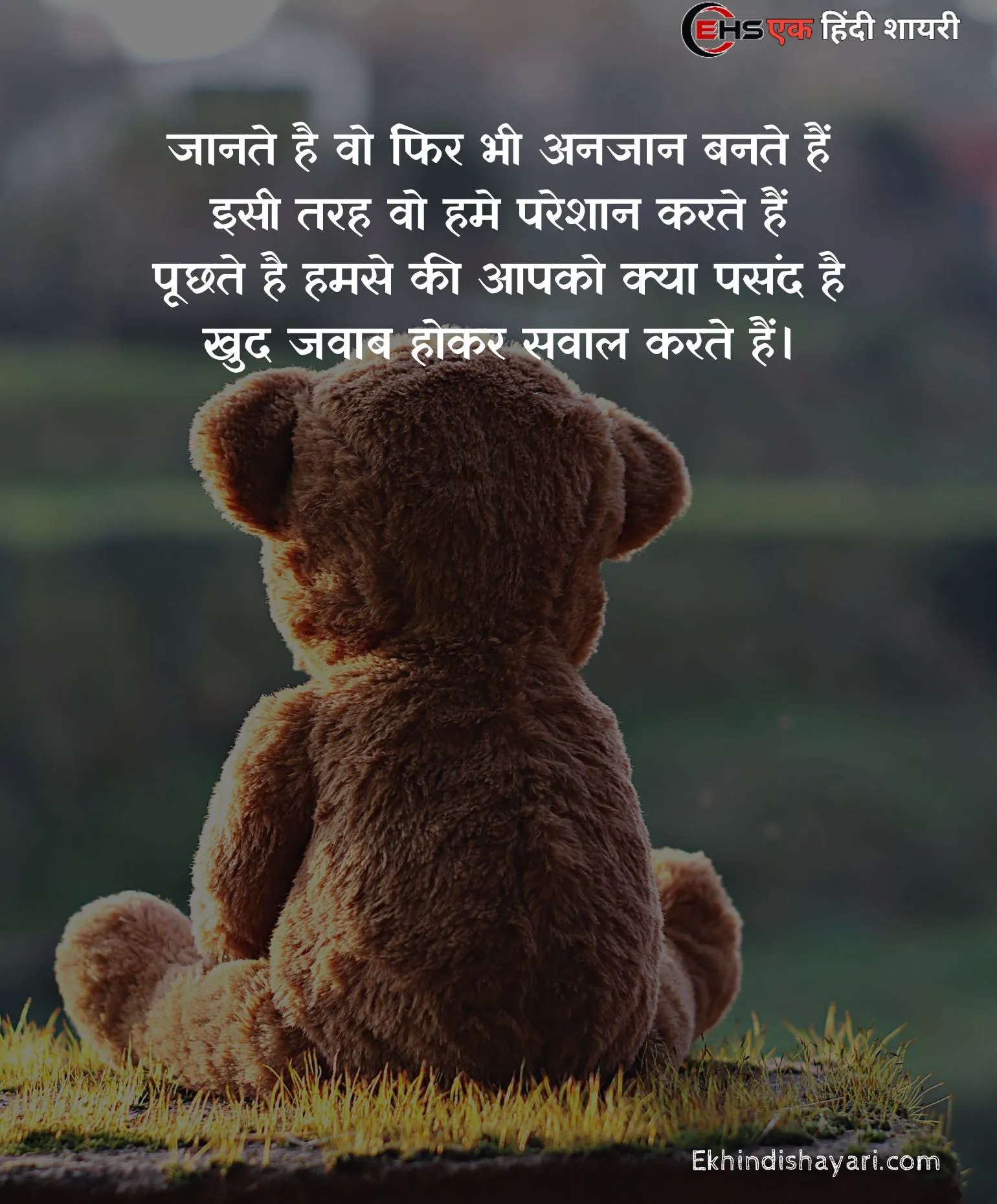 Teddy Bear Day Shayari Photo