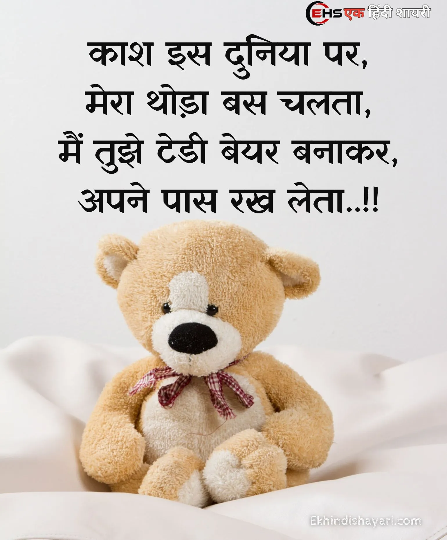 Teddy Bear Day Shayari Photo