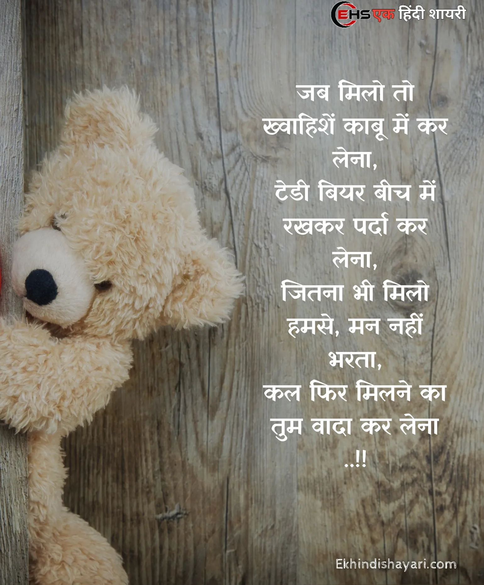 Teddy Bear Day Shayari Photo