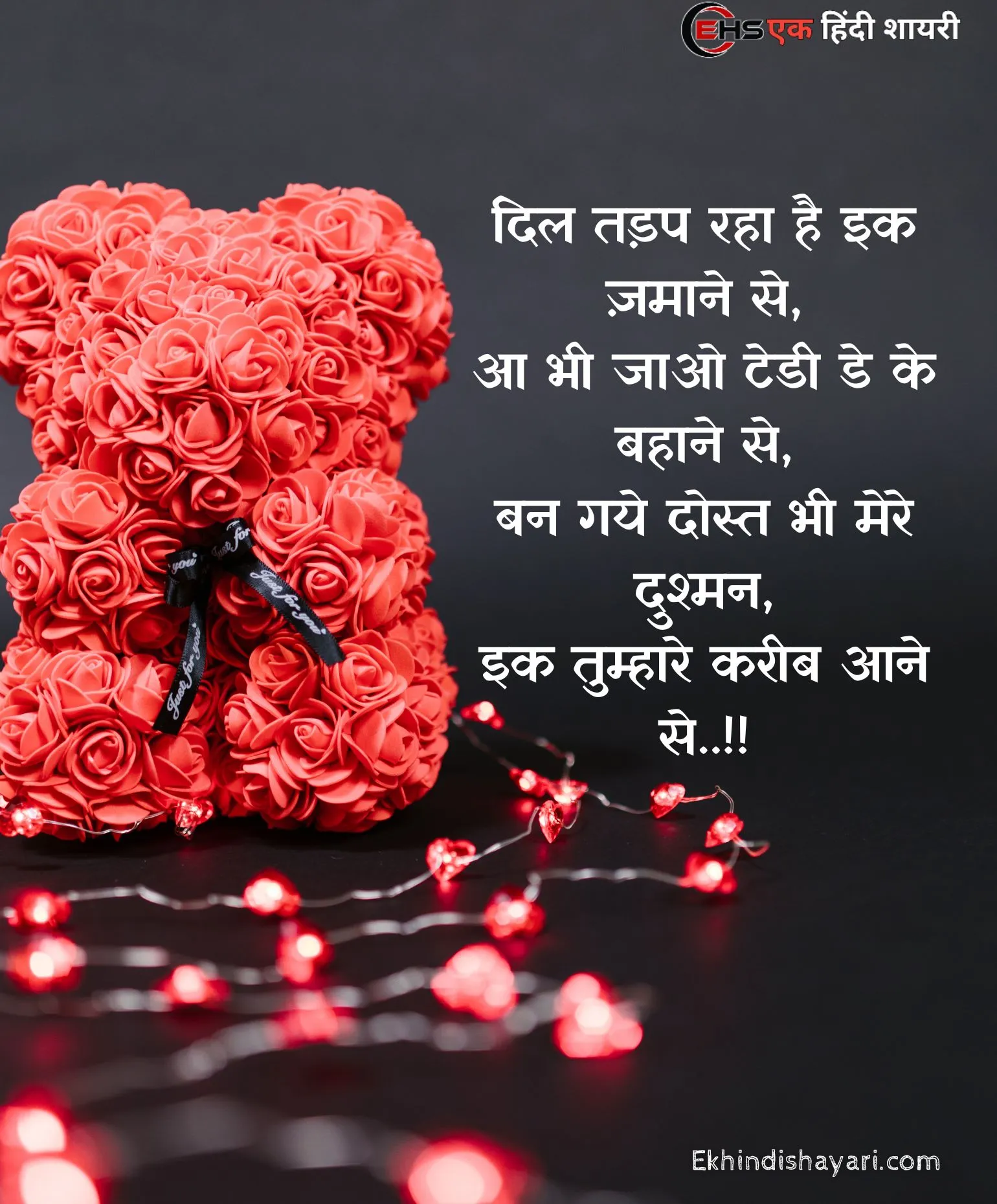 Teddy Bear Day Shayari Photo